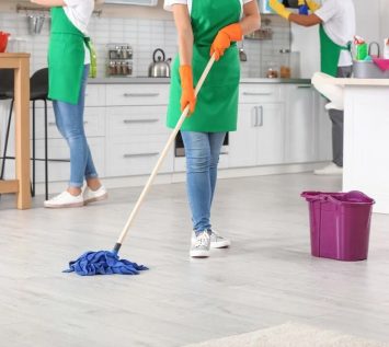 House Cleaners in Dublin