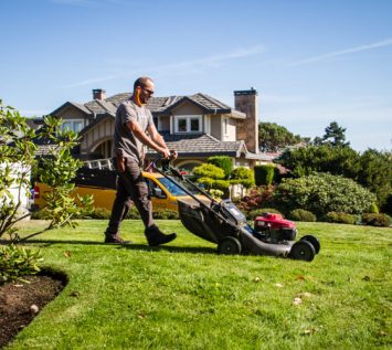 Lawn Maintenance in Dublin