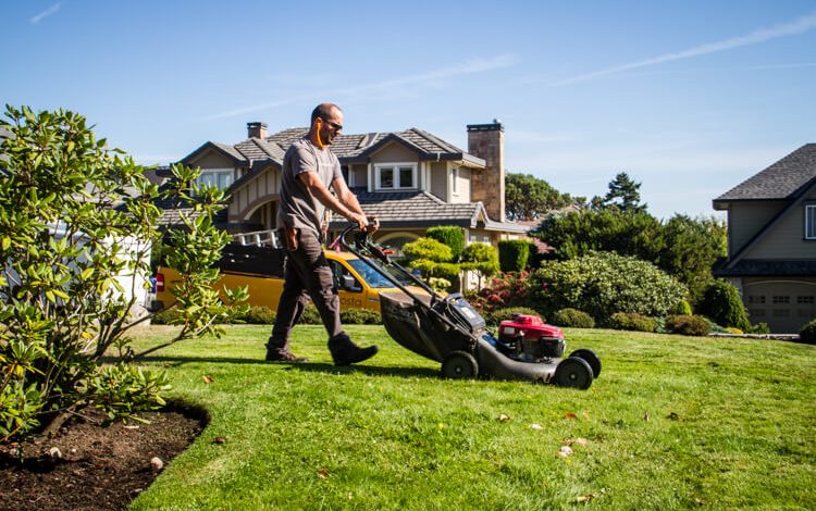 Complete Guide to Lawn Maintenance in Dublin Homes