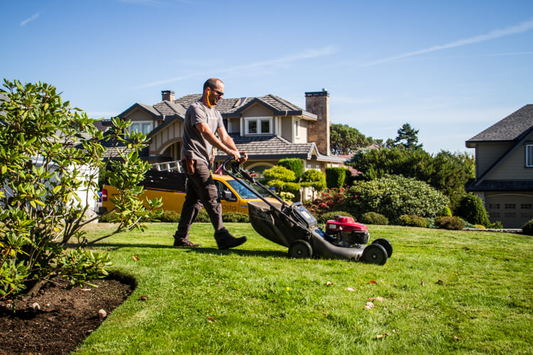 Lawn Maintenance in Dublin